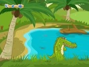cá sấu